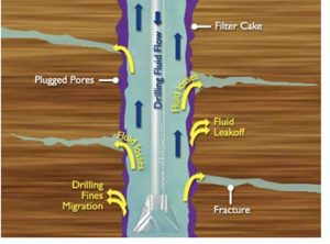 fluid loss control by gilsonite